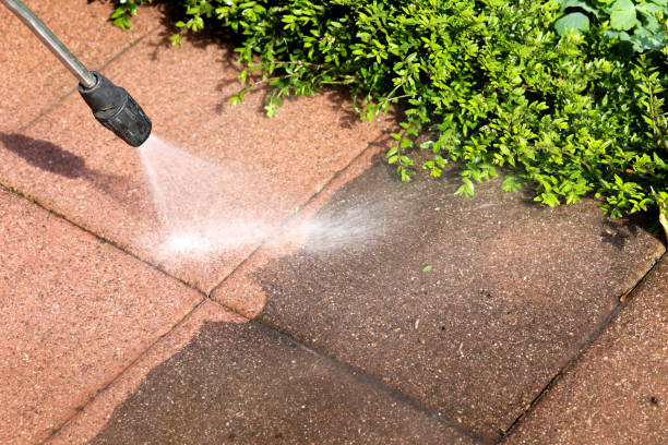 Best Local Pressure Washing Services  in Potomac, MD